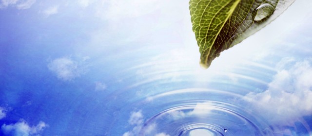 【以基督為中心的學分制基礎證書課程】之
 《以基督為中心的關懷》國語課程
日期:2025年10月25日 和11月1日,EST 2:30-5:30
地點:Zoom